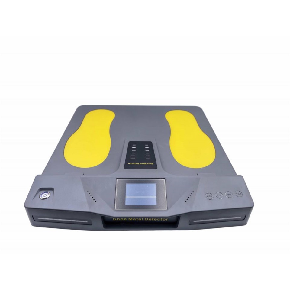 جوتن جو اڪيلو سيڪيورٽي چيڪ ڪندڙ